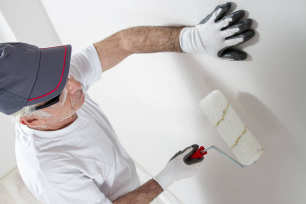 Best Drywall Crack Repair  in Osceola, WI